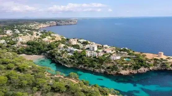 Viva Vista profile image